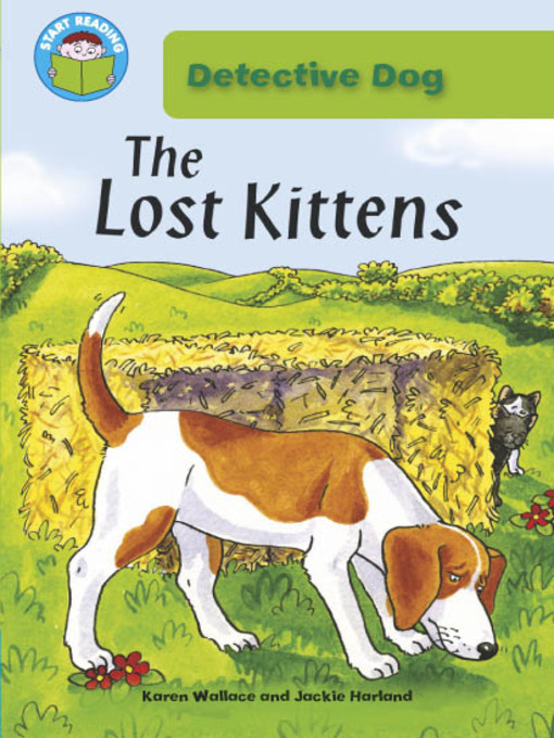Title details for The Lost Kittens by Karen Wallace - Available